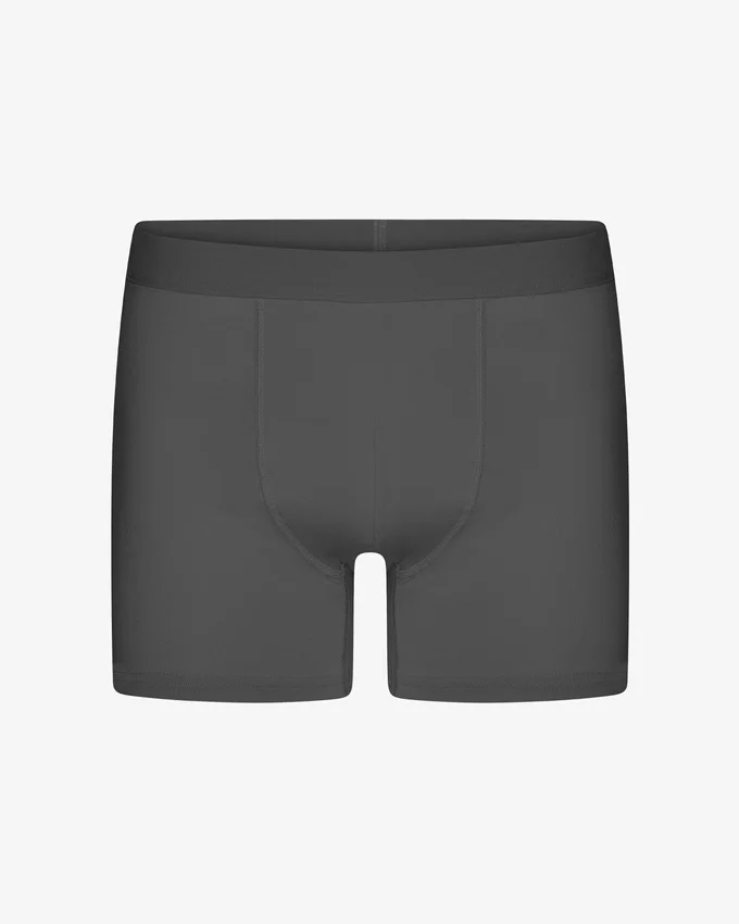 Boxers clásicos de algodón Organic - Gris lava