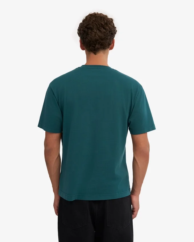 Camiseña orgánica de talla grande - Verde océano