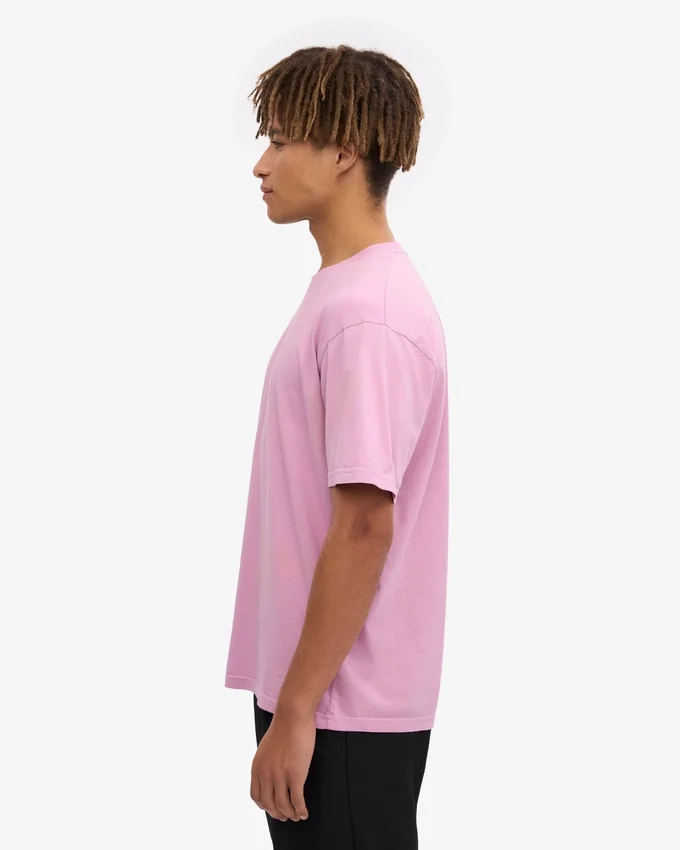 Classic Organic Tee - Flor de cerezo