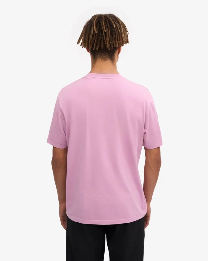 Classic Organic Tee - Flor de cerezo