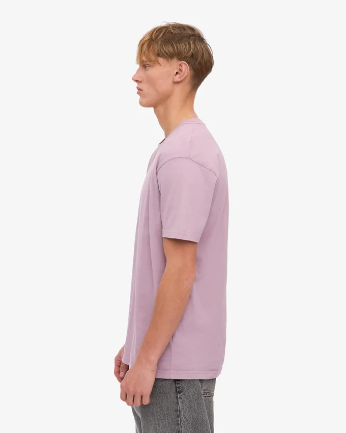 Classic Organic Tee - Morado perlado