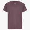 Classic Organic Tee - Uva descolorida