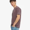 Classic Organic Tee - Uva descolorida