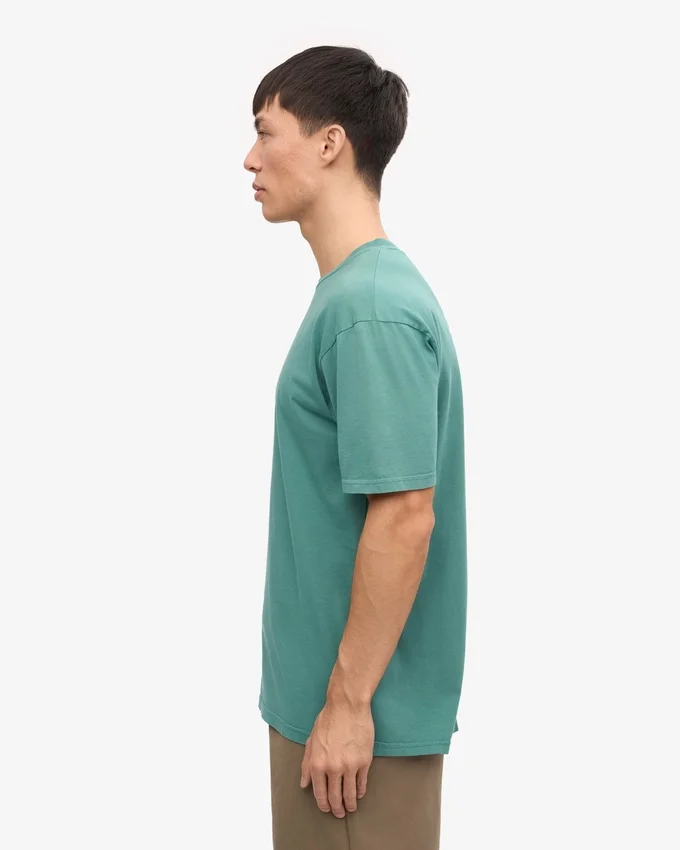 Classic Organic Tee - Verde pino