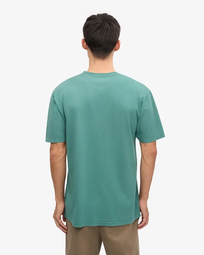 Classic Organic Tee - Verde pino