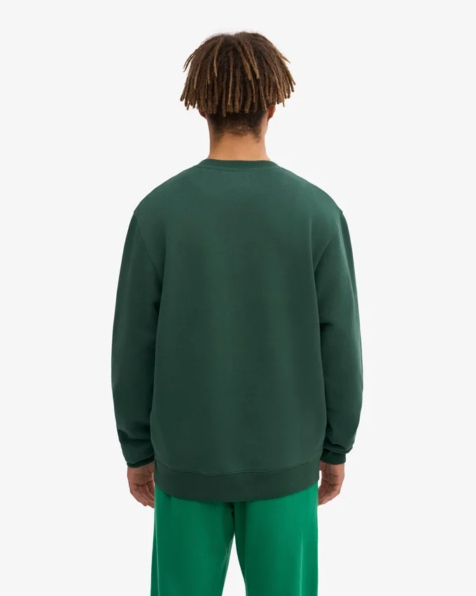 Jersey Classic Organic - Verde esmeralda