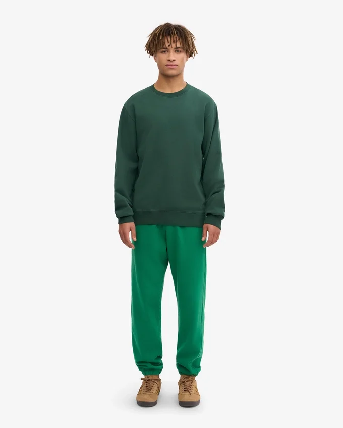 Jersey Classic Organic - Verde esmeralda