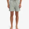 Pantalones cortos clásicos - Azul acero
