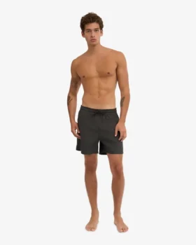 Pantalones cortos clásicos – Gris lava