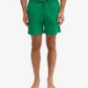 Pantalones cortos clásicos - Verde Kelly