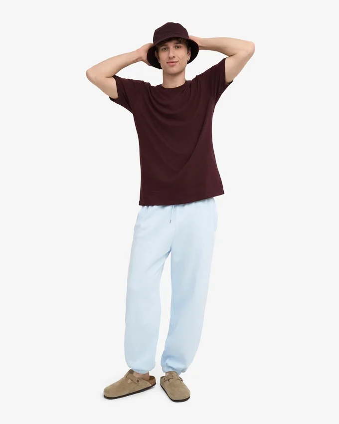 Pantalones de chándal orgánicos de corte holgado - Azul polar