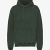 Sudadera con capucha Classic Organic - Bosque de medianoche