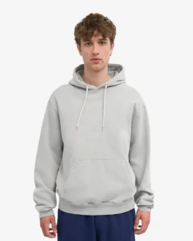 Sudadera con capucha Classic Organic – Gris descolorido