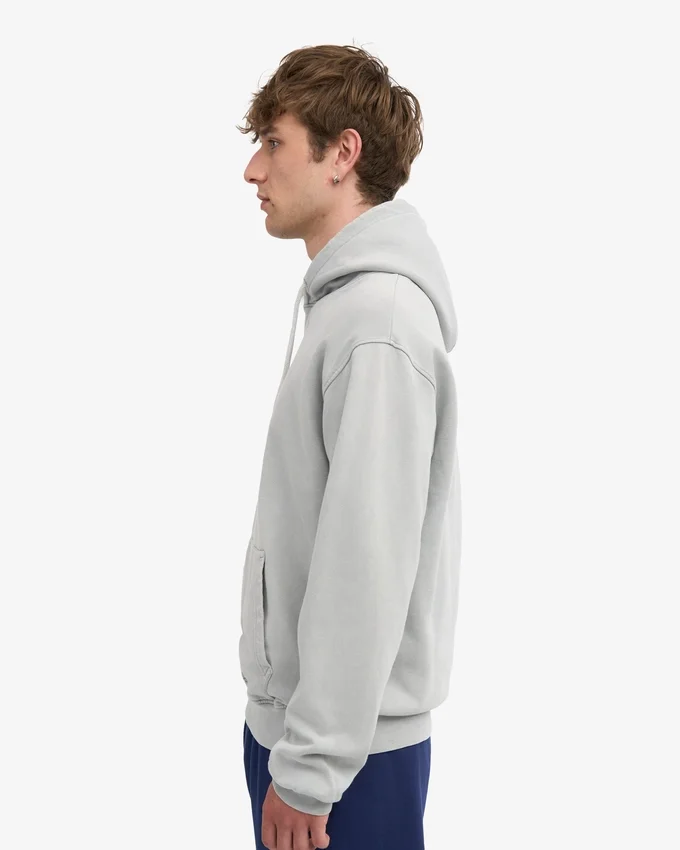 Sudadera con capucha Classic Organic - Gris descolorido