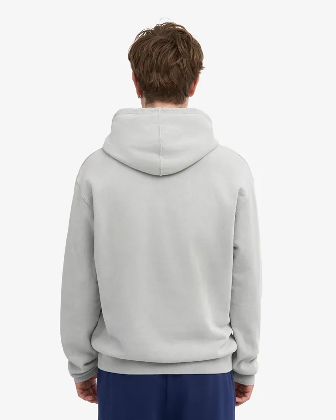 Sudadera con capucha Classic Organic - Gris descolorido