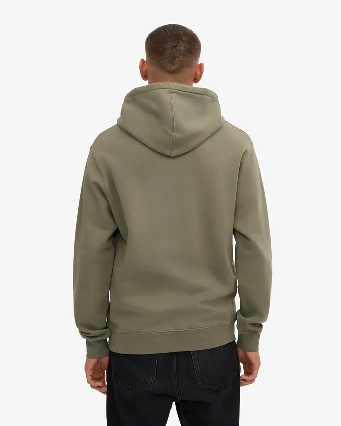 Sudadera con capucha Classic Organic - Oliva polvoriento