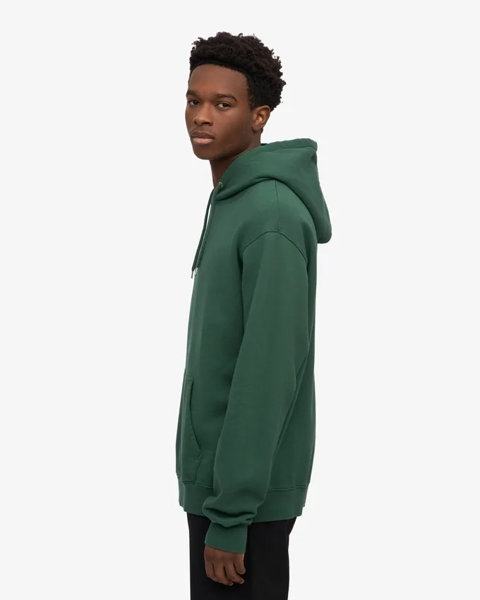 Sudadera con capucha Classic Organic - Verde esmeralda