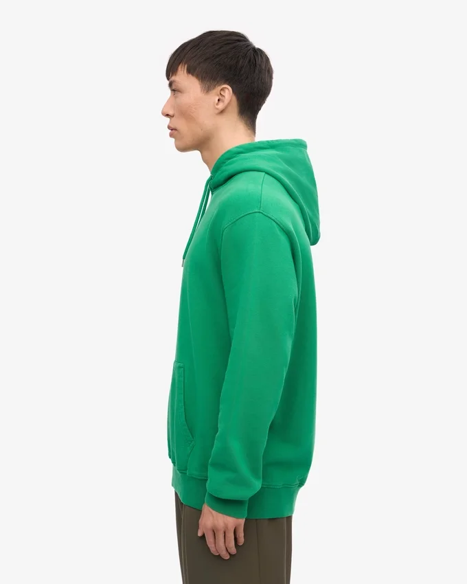 Sudadera con capucha Classic Organic - Verde Kelly