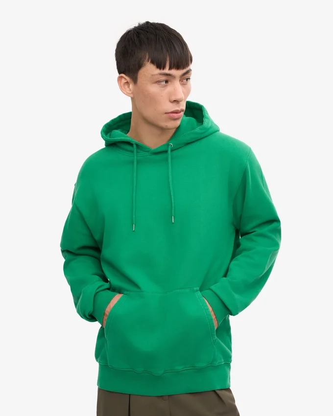 Sudadera con capucha Classic Organic - Verde Kelly