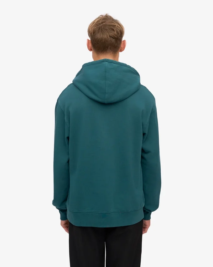 Sudadera con capucha Classic Organic - Verde océano