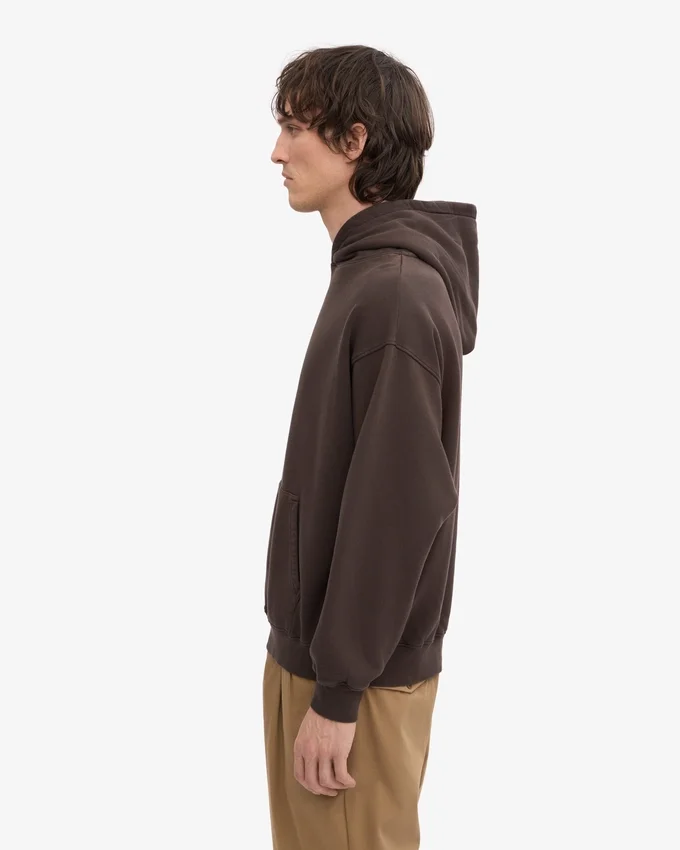 Sudadera con capucha orgánica de talle grande - Marrón café