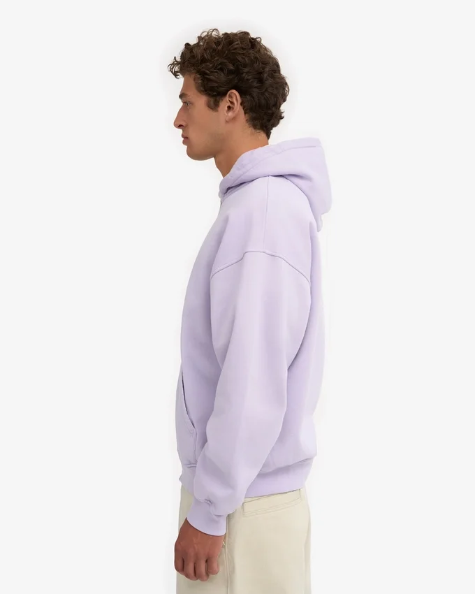Sudadera con capucha y cremallera de talla grande orgánica - Lavanda suave