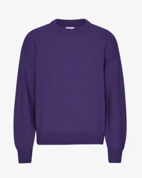 Suéter de cuello redondo oversize de lana merino - Ultra violeta