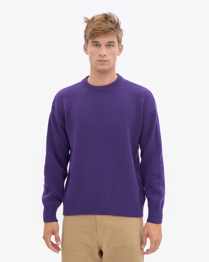 Suéter de cuello redondo oversize de lana merino - Ultra violeta