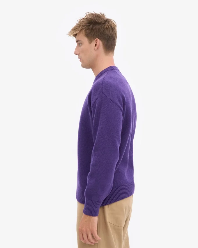 Suéter de cuello redondo oversize de lana merino - Ultra violeta