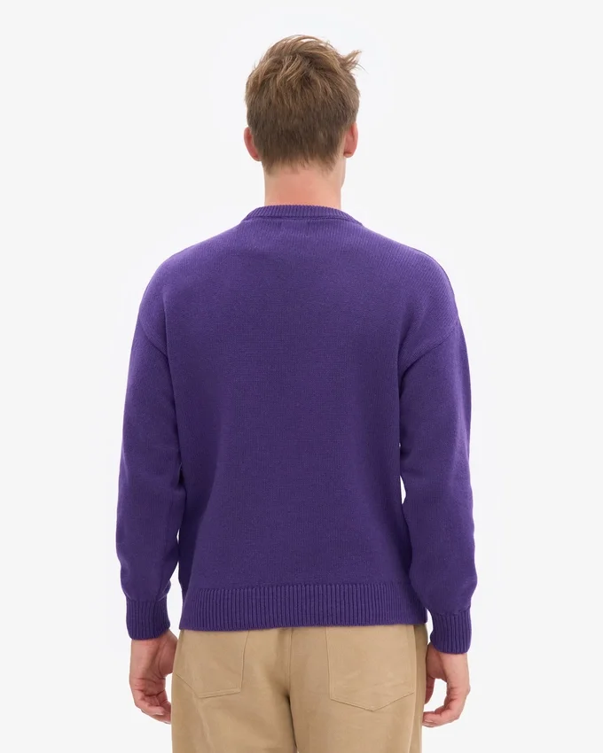 Suéter de cuello redondo oversize de lana merino - Ultra violeta