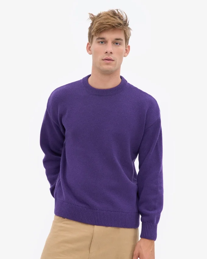Suéter de cuello redondo oversize de lana merino - Ultra violeta