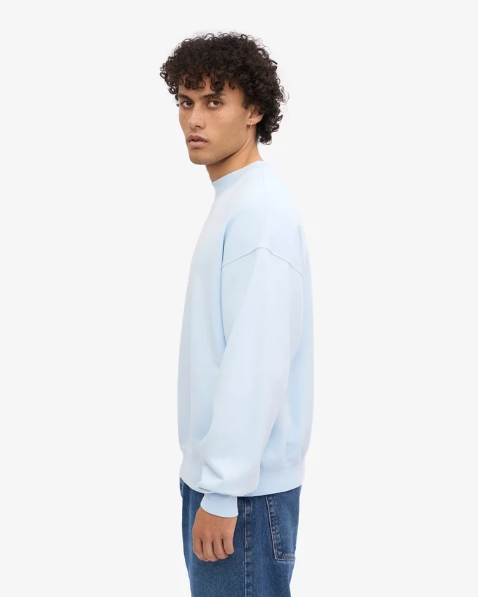 Suéter orgánico de cuello redondo oversize - Azul polar