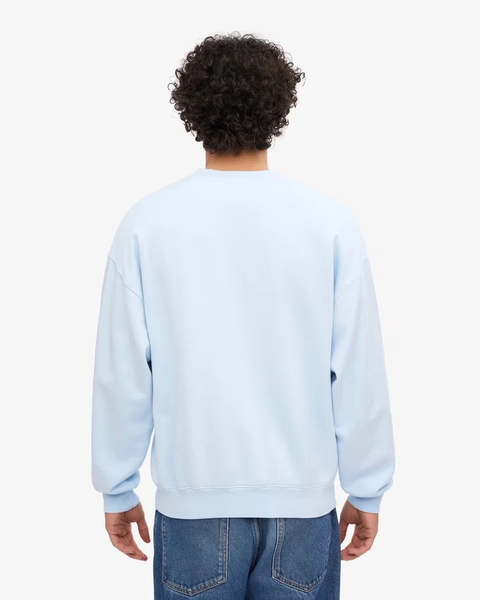 Suéter orgánico de cuello redondo oversize - Azul polar