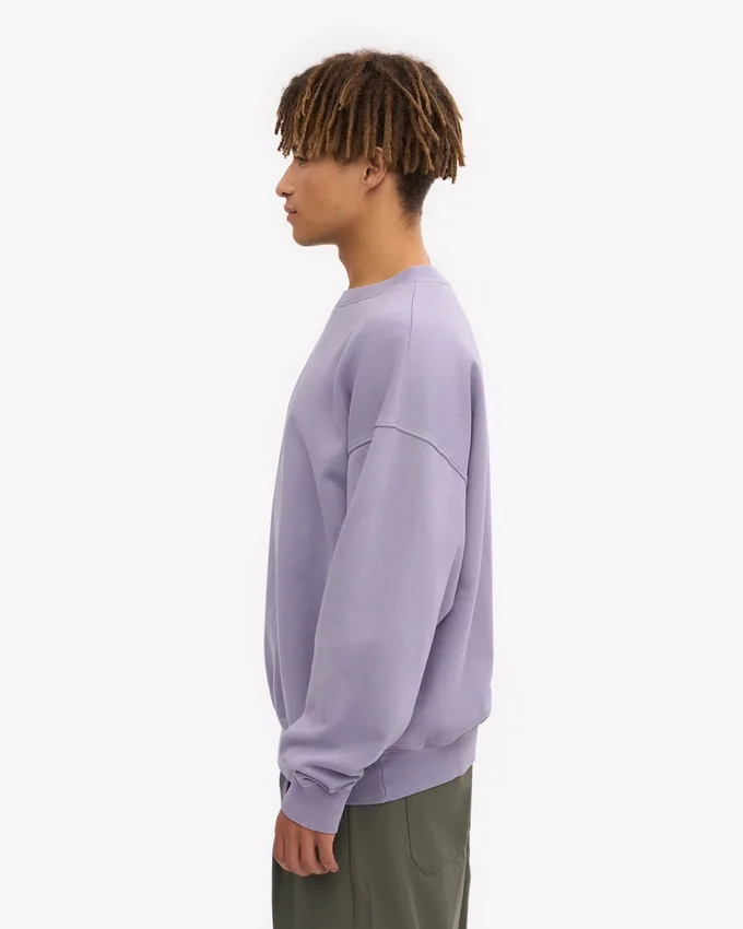 Suéter orgánico de cuello redondo oversize - púrpura jade