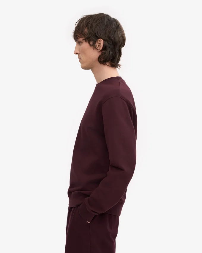 T-shirt Classic Organic de cuello redondo - Rojo sangre
