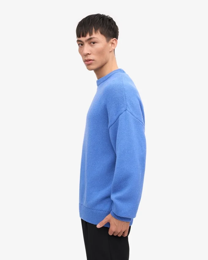 Suéter de cuello redondo oversize de lana merino - Mezcla de colores nieve