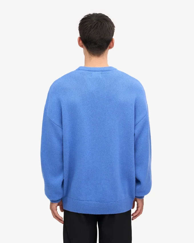 Suéter de cuello redondo oversize de lana merino - Mezcla de colores nieve